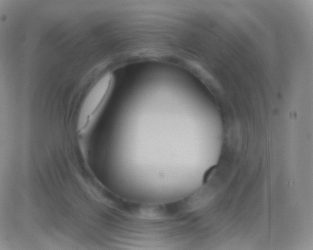 X0000083060070200702232032