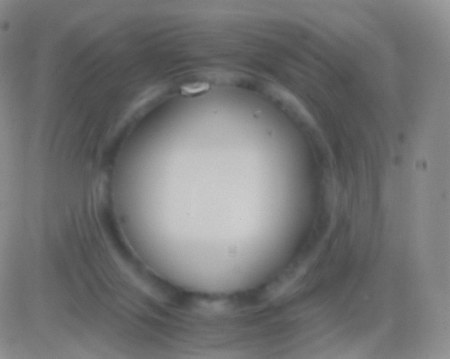 X0000083060071200702232032