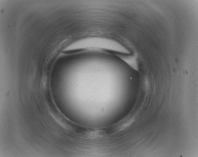 X0000083060072200702232032