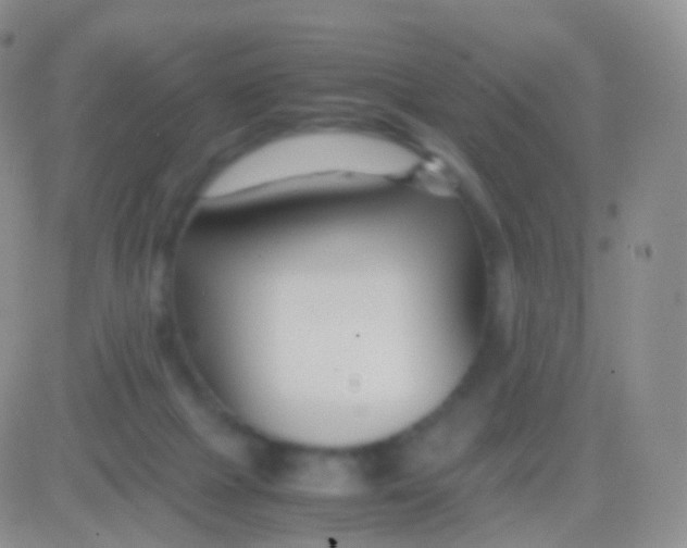 X0000083060073200702232032