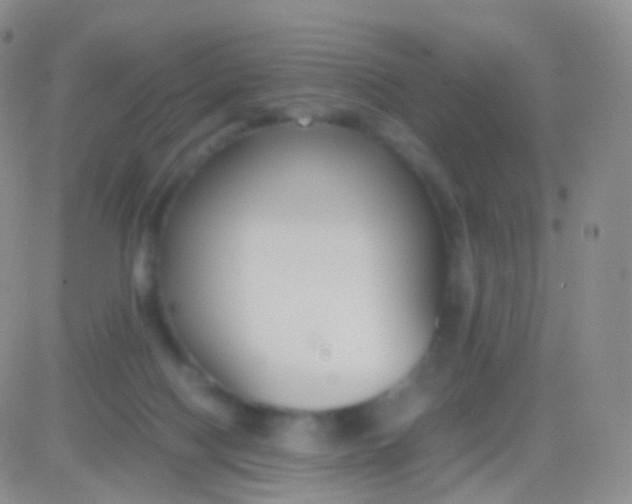 X0000083060074200702232032