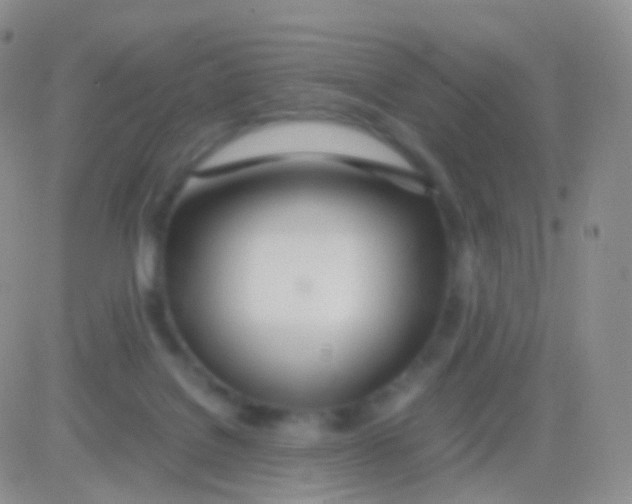 X0000083060076200702232032