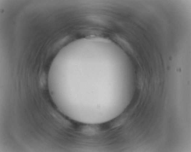 X0000083060077200702232032