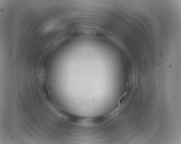 X0000083060078200702232032