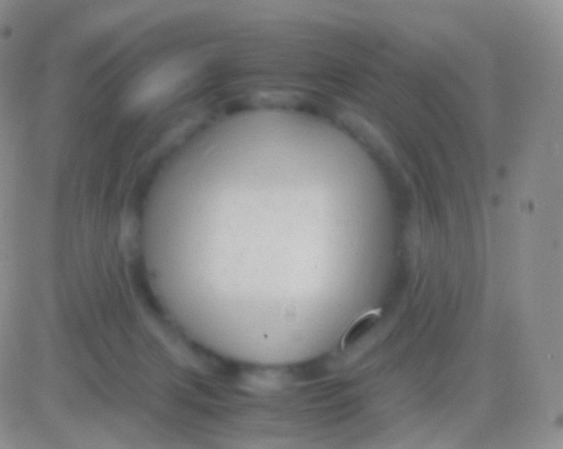 X0000083060079200702232032