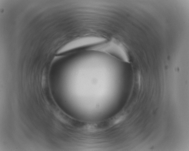 X0000083060080200702232032