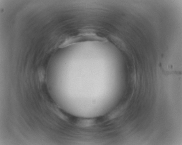 X0000083060081200702232032