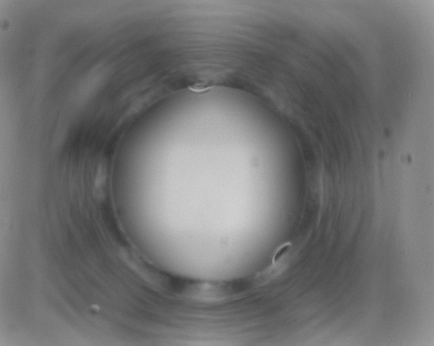 X0000083060082200702232032