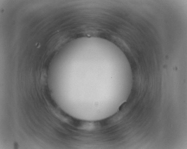 X0000083060083200702232032