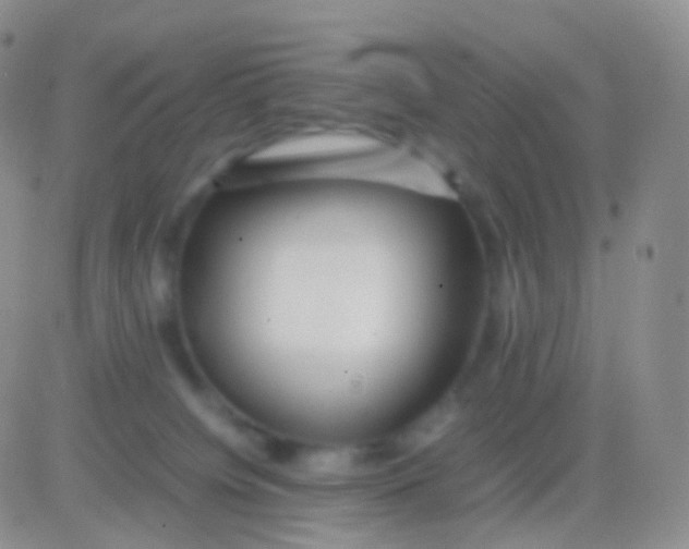 X0000083060084200702232032