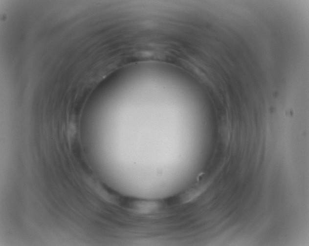 X0000083060085200702232032