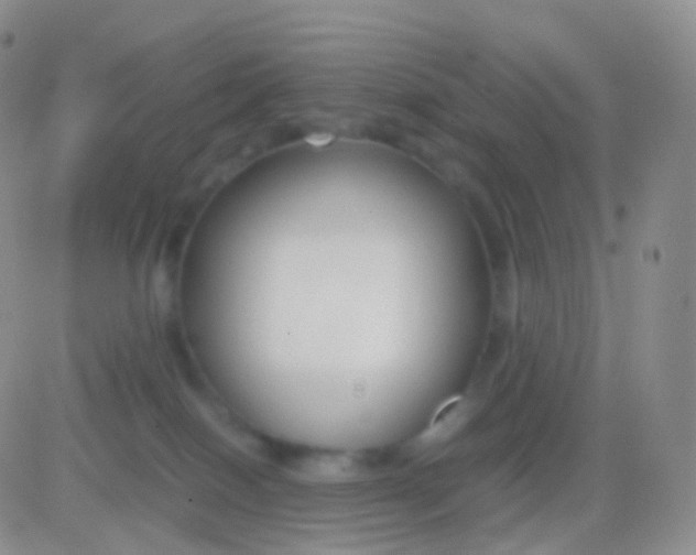 X0000083060086200702232032