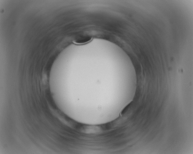 X0000083060087200702232032