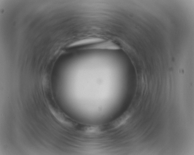 X0000083060088200702232032