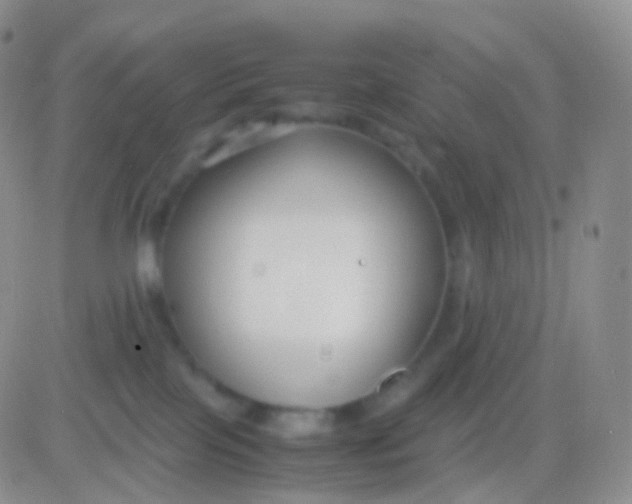 X0000083060089200702232032