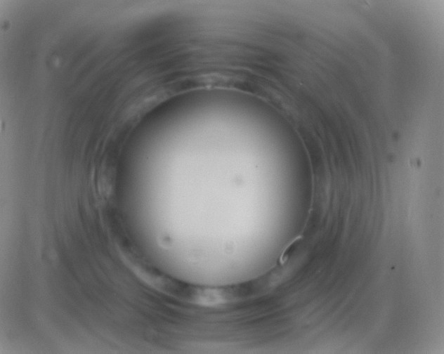 X0000083060091200702232032