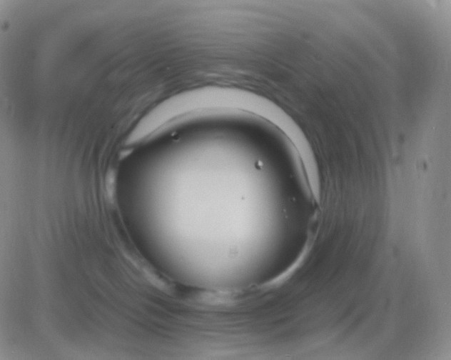 X0000083060094200702232032