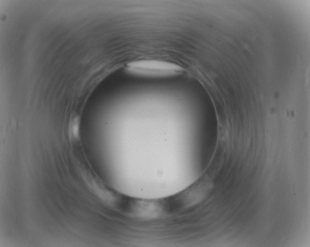 X0000083060095200702232032