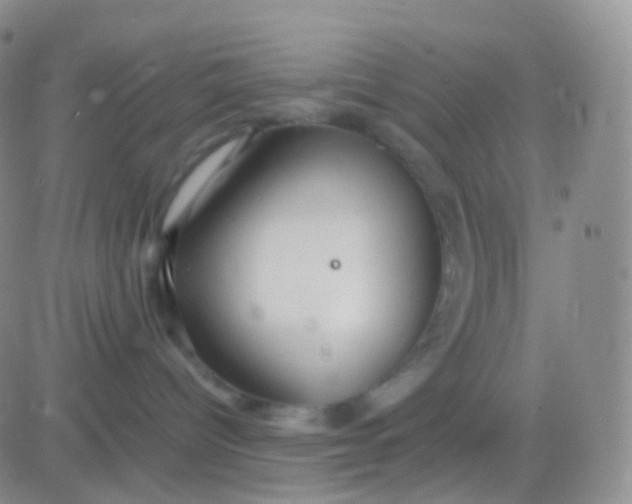 X0000083060096200702232032