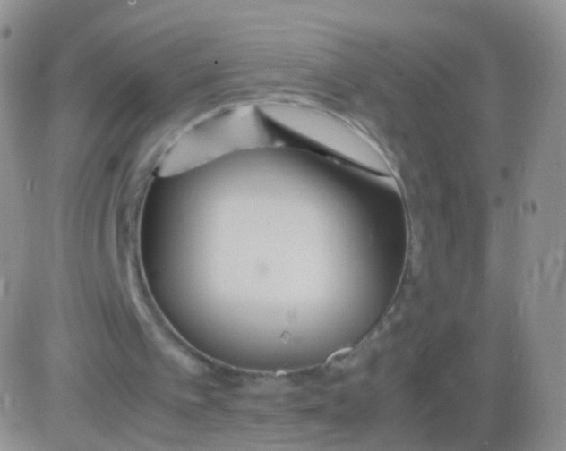 X0000083060097200702232031