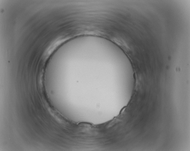 X0000083060098200702232031