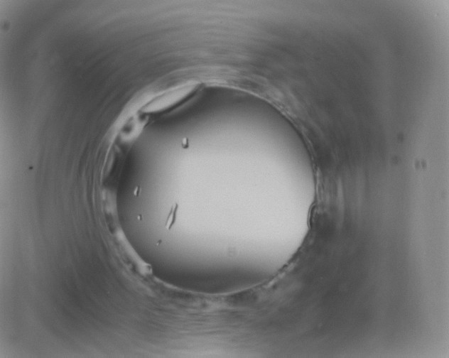 X0000083060099200702232031