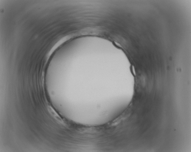 X0000083060100200702232031