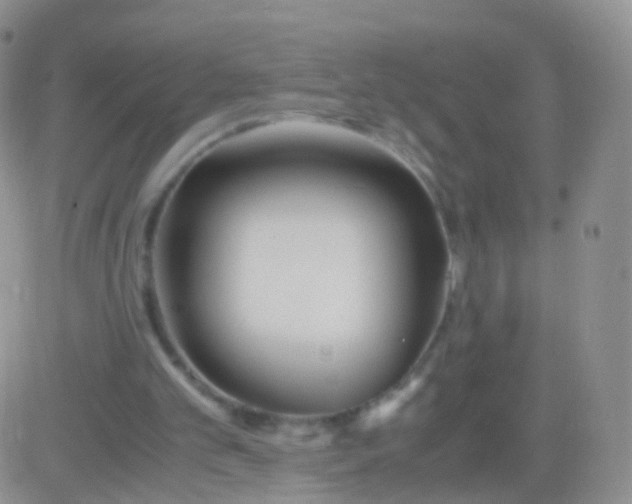 X0000083060101200702232031