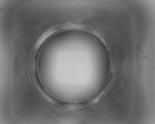 X0000083060103200702232031