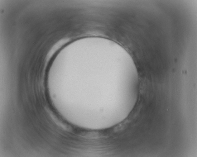 X0000083060104200702232031