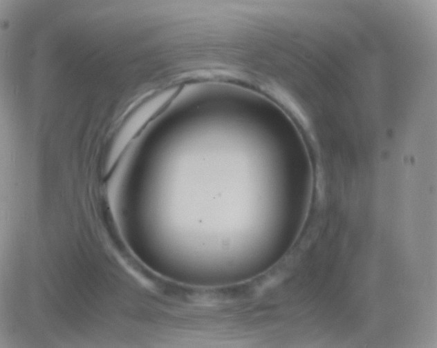 X0000083060105200702232031