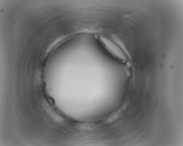 X0000083060106200702232031