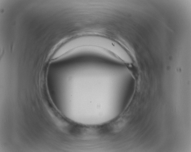 X0000083060107200702232031