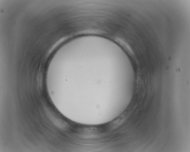 X0000083060108200702232031