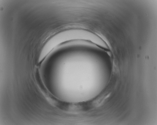 X0000083060109200702232031