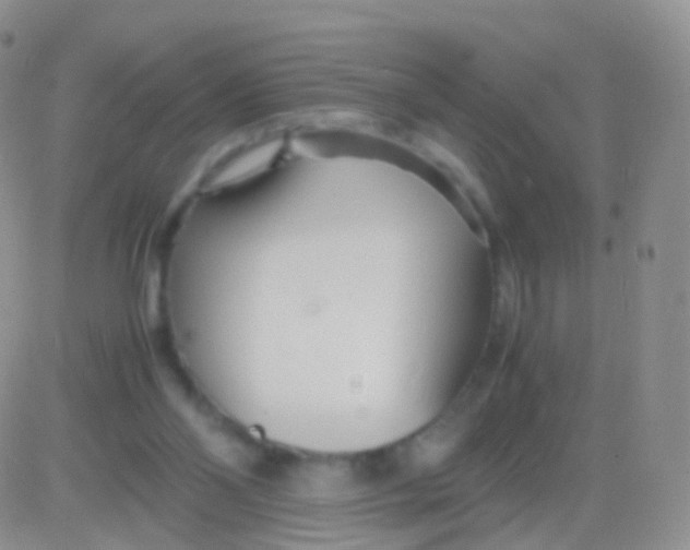 X0000083060110200702232031