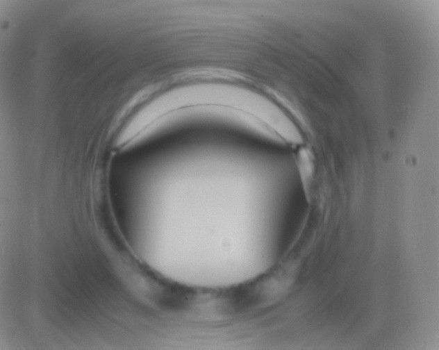 X0000083060111200702232031