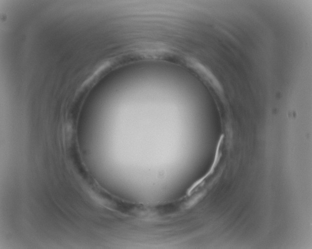 X0000083060113200702232031