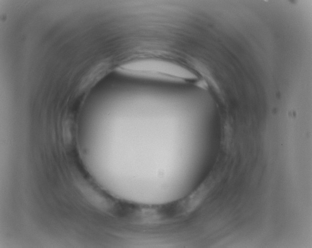 X0000083060114200702232031