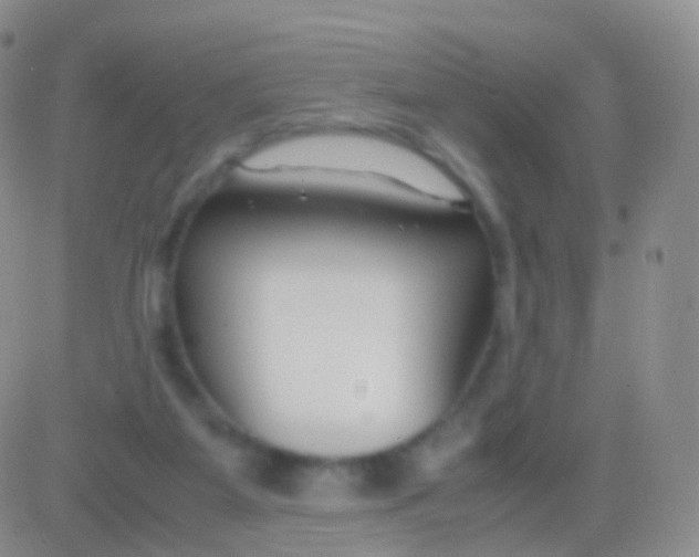 X0000083060115200702232031