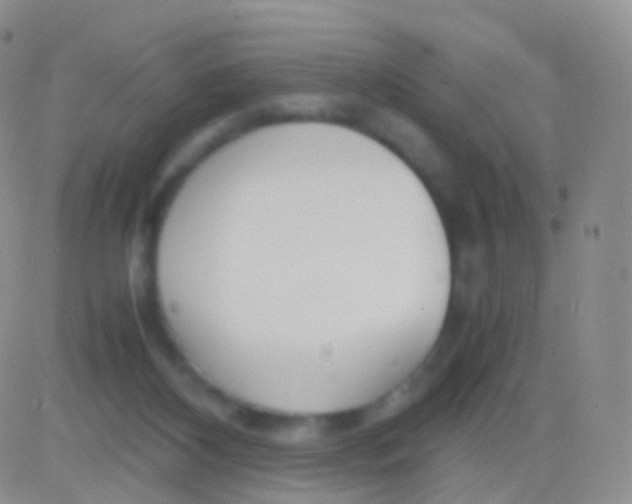 X0000083060116200702232031