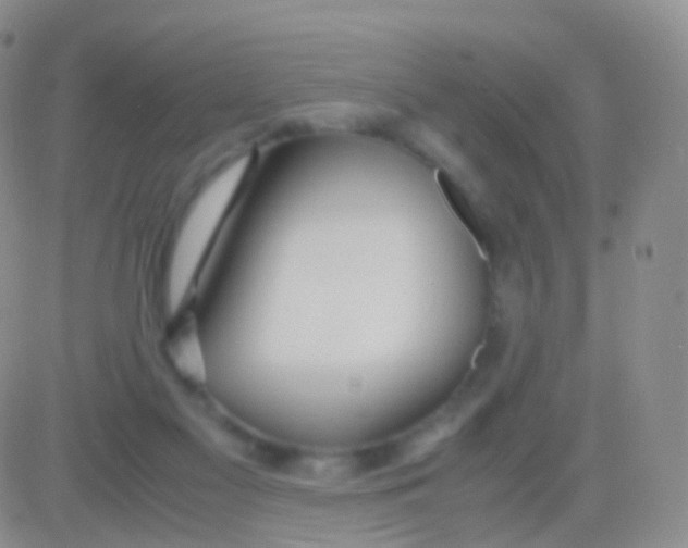 X0000083060117200702232031