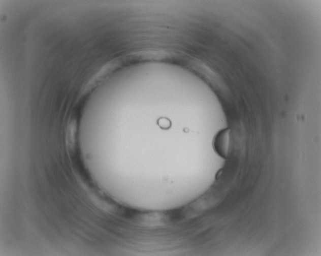 X0000083060118200702232031