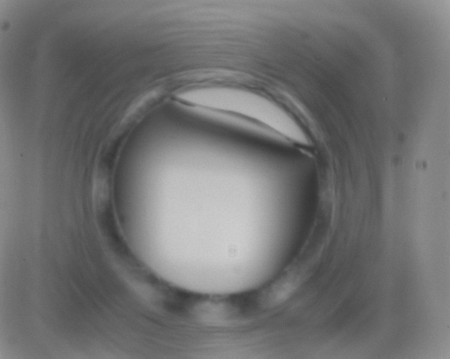 X0000083060119200702232031