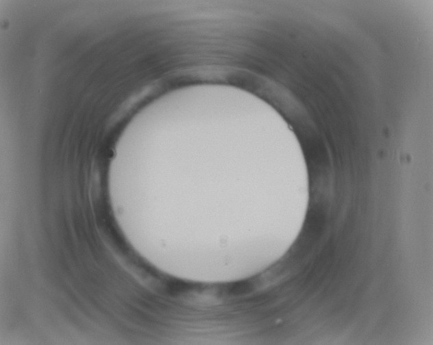 X0000083060120200702232031