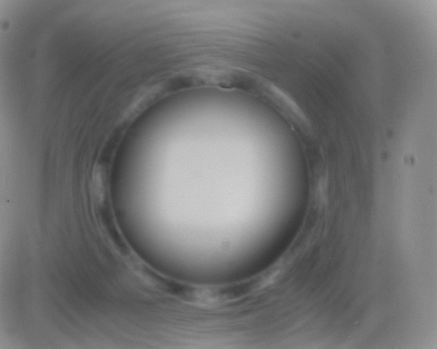 X0000083060121200702232031