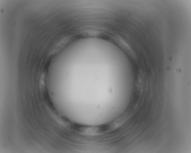 X0000083060122200702232031