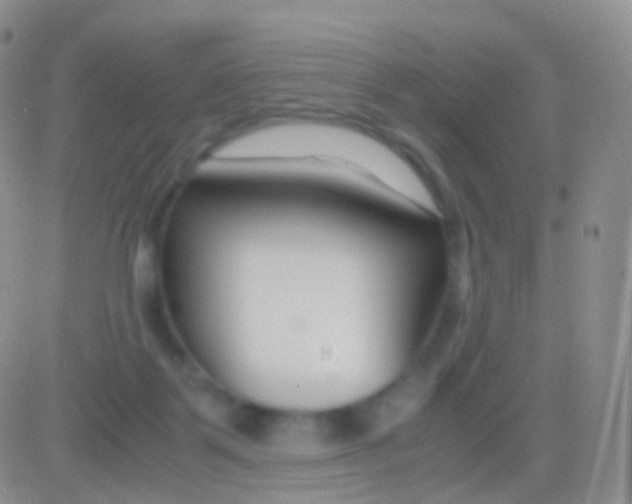 X0000083060123200702232031