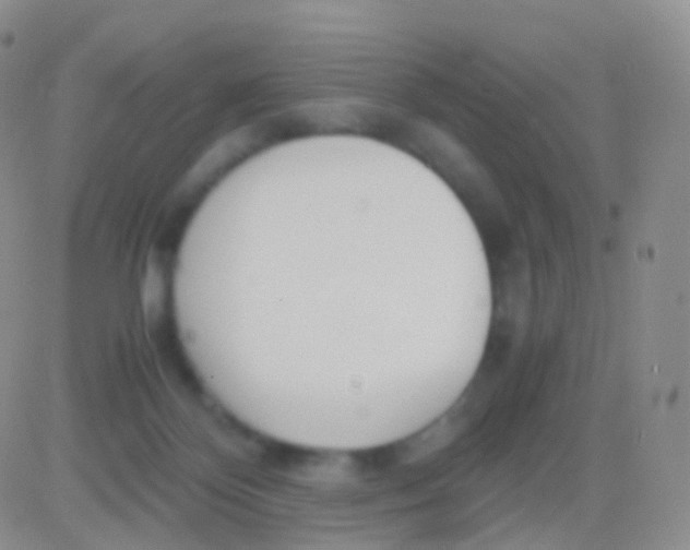 X0000083060124200702232031