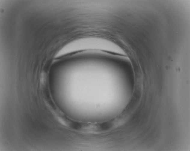 X0000083060125200702232031